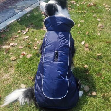 Водонепроникний теплий дощовик для собак з коміром з флісу, з отвором для шлейки, для маленьких, середніх та великих собак, колір: морський, розмір 2XL (Об'єм грудей 75-85 см)