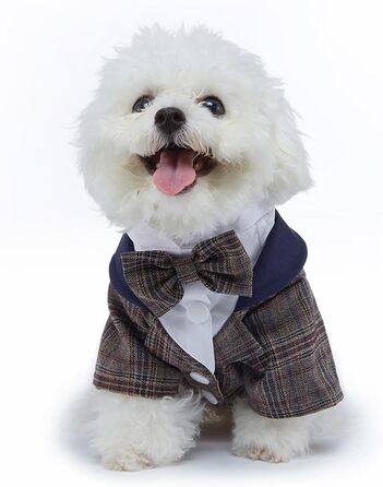 Елегантний костюм для собак: смокінг для маленьких та середніх собак, коричневий, з блакитною краваткою. Ідеально для вечірок, свят, днів народжень. Розмір M (довжина спини 29 см)