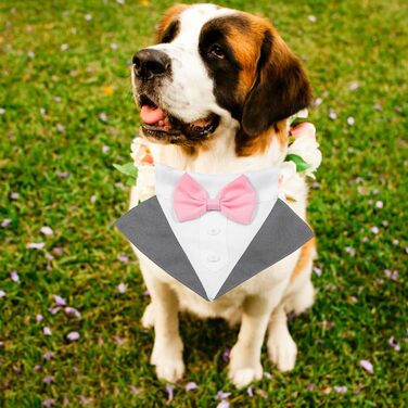 Елегантний собачий смокінг JOYPAWS: нашийник для собак, костюм для вечірки, на день народження, для фотосесій, сірий, для маленьких, середніх та великих собак