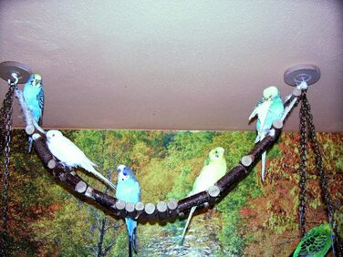 Ручна драбинка для хвилястих папуг Vogelgaleria, 80 см, з натурального дерева, для клітки, підвісна міст-драбина