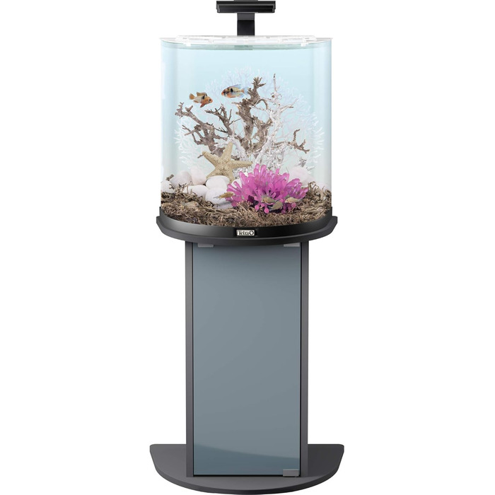 Акваріум Tetra Explorer Line 60 л, комплект: LED-освітлення, обладнання, корм і засоби догляду, вигнута передня стінка, чорний колір