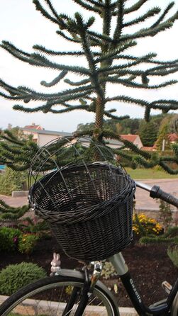 Корзина для велосипеда Marcus Hundefahrradkorb для руля з ротангу з металевою сіткою та подушкою, чорна, для собак, велосипедна корзина, корзина для тварин, натуральна (без подушки)