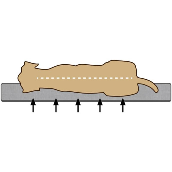 Ортопедичне ліжко для собак Beeztees Jaxx сірого кольору, 50 x 50 x 20 см