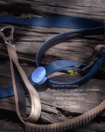 EVERKING 6-в-1 повідок для собак з поясом – повідь для бігу та прогулянок, з двома ручками, антишокова пружина, кріплення для авто, альтернатива шлейці та повідку (синій, сірий, блакитний, хакі, чорний)