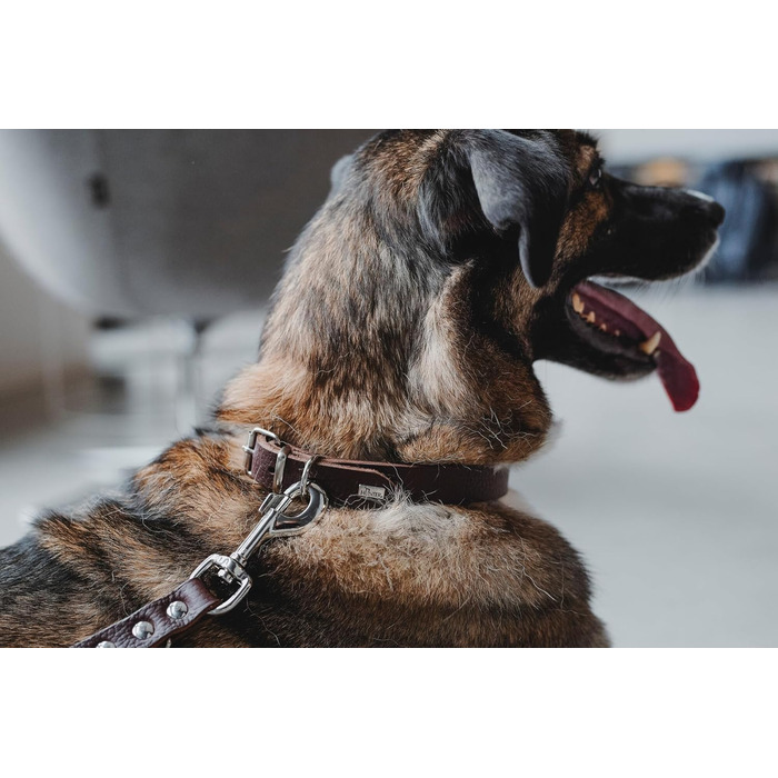 Нашийник для собак HUNTER Grenada з натуральної шкіри, темно-коричневий, ручної роботи, Німеччина, для тренувань та повсякденного використання, міцний, комфортний, розмір XS-S, обхват 28-32 см