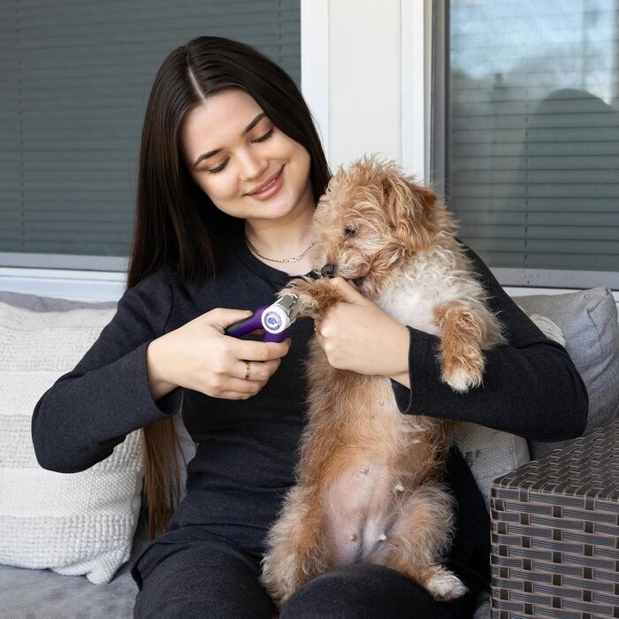 LED-насадка для стрижки кігтів домашнім тваринам, триммер для собак і котів з LED-підсвічуванням, 3.5 мм сталева леза, захист та вбудоване світло для безпечної стрижки