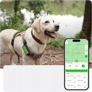 GPS-трекер для собак GlocalMe LTE: глобальне покриття, 4G та історія переміщень