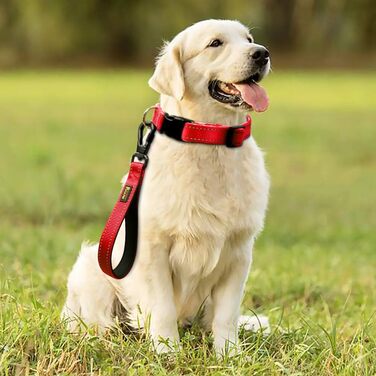 PLUTUS PET короткий повідок для собак 25,4 см, з м’якою нейлоновою ручкою, міцний поводок з карабіном, для великих і середніх собак, червоний