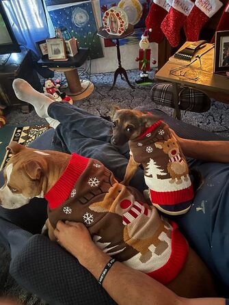 Пуловер для собак у стилі вінтаж, теплий і святковий: Різдво, Хелловін, Олень. Підходить для дрібних, середніх та великих собак (X-Large, коричневий)