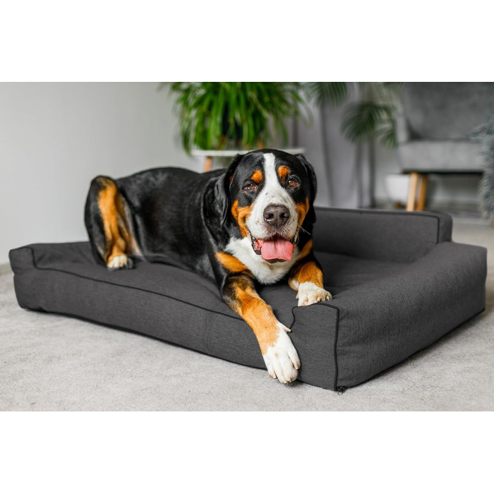 Ліжко для собак Glamour New чорне Inari, знімний чохол, розмір M 78x53 см, для малих і середніх порід