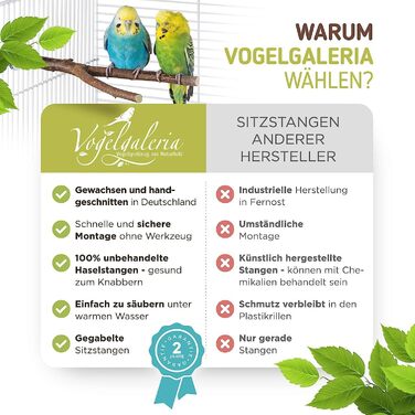 Набір дерев'яних сідал Vogelgaleria 10 шт. для птахів з безкоштовною гойдалкою та 3 Y-подібними сідалами для хвилястих папуг, корел та інших