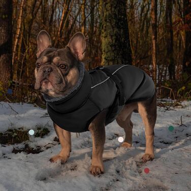 Зимовий теплий теплий одяг для собак IECOii, чорний, регульований, з пряжкою, флісова комір, для маленьких, середніх та великих собак (Large, обхват грудей 53-62 см)