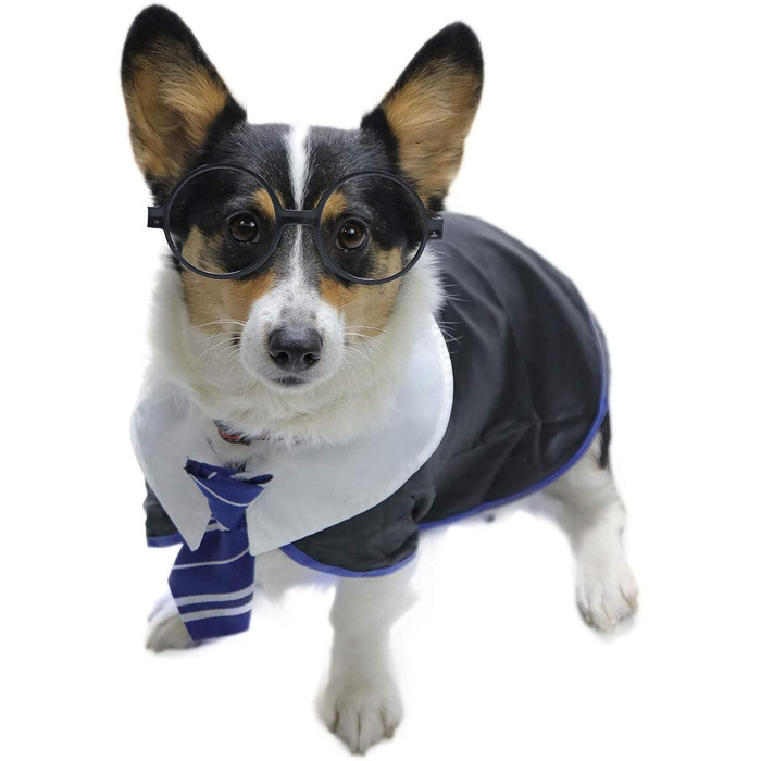 Сорочка для собак на Хелловін Impoosy, кумедний костюм кота-чаклуна, мила одяг з окулярами (розмір M, обхват шиї: 35,6 см), блакитний