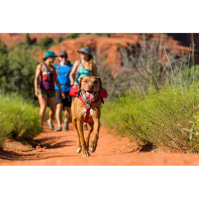 Рюкзак для собак Ruffwear Trinkruckack (Blue Duk) з водою 2x600 мл + Ingletrak Pack 200 мл