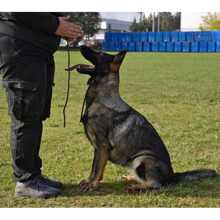 Нашийник для собак Dingo Gear, ручної роботи, міцний шнур, 2 обмежувачі, водонепроникний, для K9-тренувань, IGP, агітація, кусання, слухняність, чорний, L (S04049)