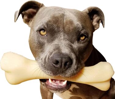 Nylabone Extreme іграшка-кістка для собак, для агресивних та сильних жуваків, зі смаком курки, для дуже великих собак понад 23 кг