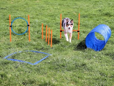 Набір для дресирування собак Vabiono Agility: тунель, обруч, бар'єри, слалом, стійки