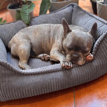 4L Textil М'яке собаче ліжко з корду Hugo Premium-LINE, ортопедичне, для маленьких собак, з піною з пам'яті, знімний чохол, плюшеве (темно-сірий, 60x40 см)