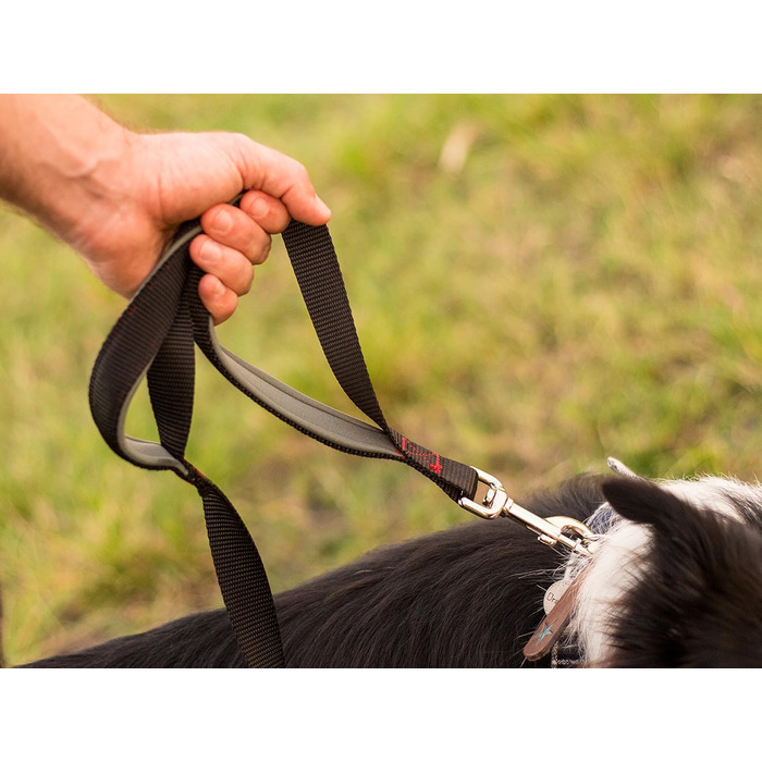 Повідок Leash Boss для великих собак з двома ручками та додатковою транспортною ручкою, міцний, з подвійною м'якою підкладкою, для вигулу та дресирування