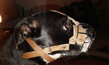 Нашийник-маска для собак L&J Pets, Staffordshire Bull Terrier (Staffy, Staffie), коричневий, B1
