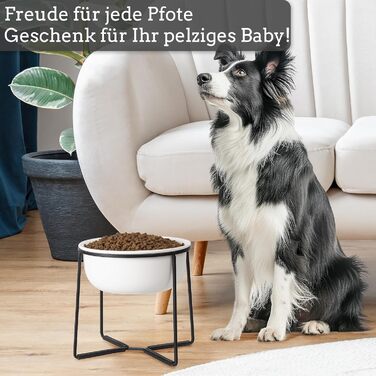 Підвищений керамічний миска для собак з металевим обідком - годівниця для котів та маленьких собак. Біла матова (XL)