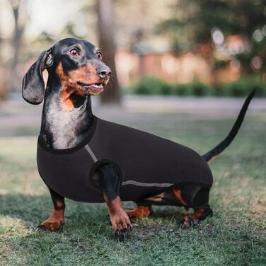 Теплий флісовий пуловер для собак Hjyokuso Dackel L - для великих собак, сірий, універсальний