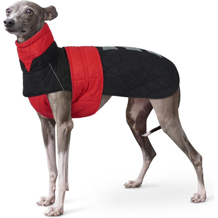 Куртка для собак породи Віндхаунд Saukis Mante, тепла флісова підкладка, червона (M)
