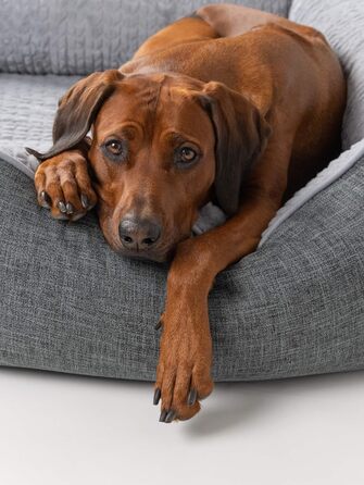 TrendPet VitaBed сірий - ортопедичне преміум собаче ліжко з матрацом з Memory Foam 5 см (120x100 см)