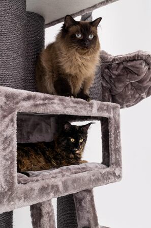 Дряпак для котів Petrebels Parklane 175 см, преміум, з XXL гамаком, спальним будиночком, диваном, товсті стовпи, кольору капучино