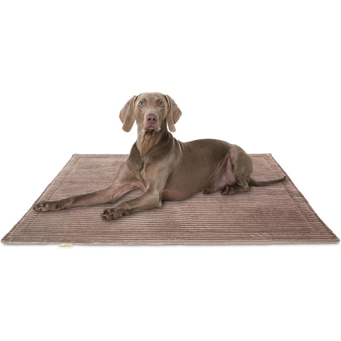 Лежанка для собак Knuffelwuff Timor 80x60 см - м'яка, зручна, легко миється, для великих, середніх та маленьких собак, коричнева