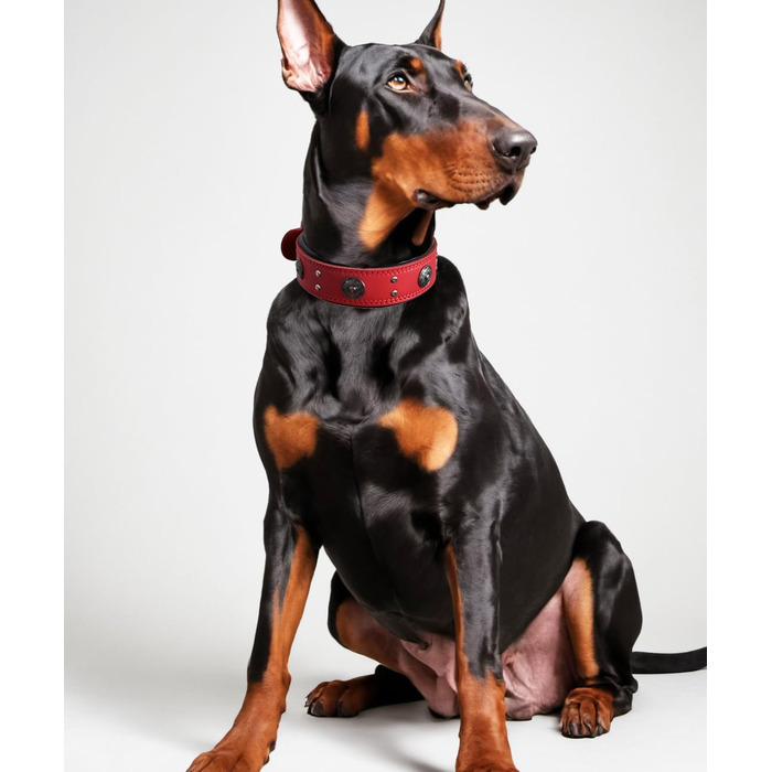 Стильний шкіряний нашийник для собак, ручної роботи, 5 см, червоний, розмір 38-49 см