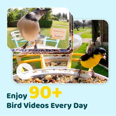 Розумна годівниця для птахів NETVUE Birdfy з камерою для спостереження, сонячною панеллю, кольоровим нічним баченням та автоматичним записом відео (Жовта)