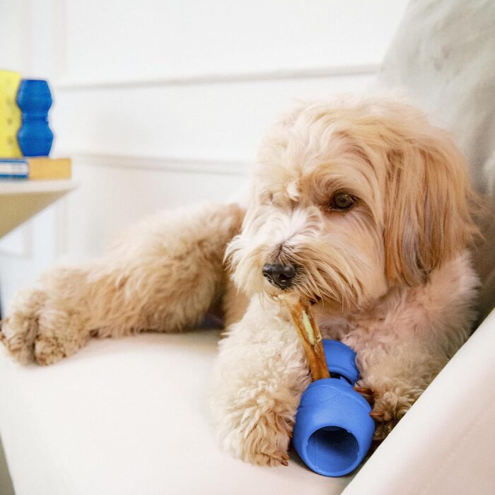 PetClan Chewise Тримач для жувальних паличок для собак, без BPA, проти задухи, для різних розмірів собак, міцний дизайн