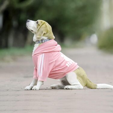 Худі для собак: стильний пуловер-кофта для маленьких, середніх собак, котів, чихуахуа, тедді. Теплий одяг на осінь/зиму, 3XL, рожевий колір