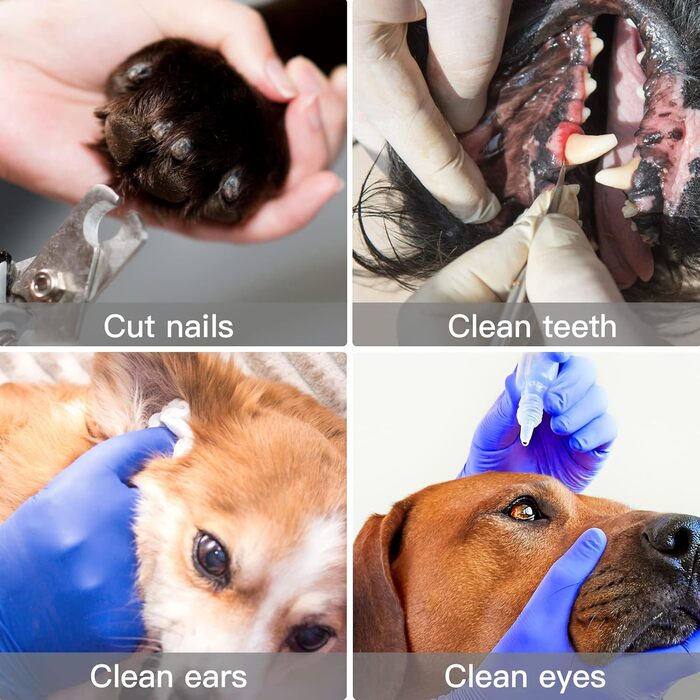 Гамак для грумінгу домашніх тварин: гамак для котів та собак, тримач для грумінгу, багатофункціональний, для догляду за шерстю та стрижки нігтів