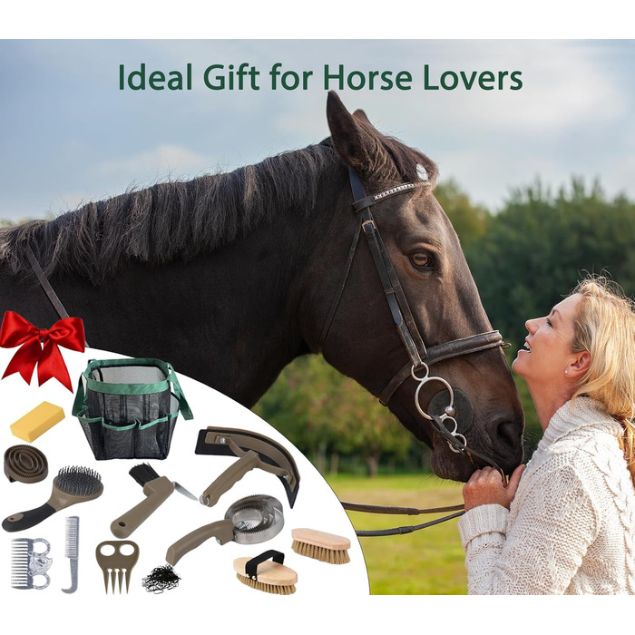 Набір для догляду за конем TERPUP, 13 предметів: щітки, стріжки, органайзер. Ідеальний подарунок для вершників та початківців.