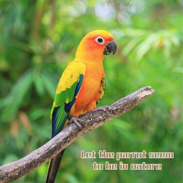 Набір аксесуарів для пташника: 8 дерев'яних жердовок для хвилястих попугайчиків та інших птахів