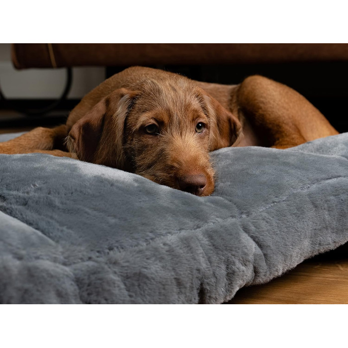 TrendPet Maya Ortho - Ортопедичне ліжко для собак (80x60 см)