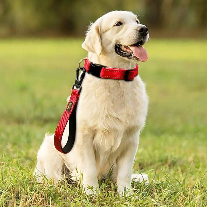 PLUTUS PET короткий повідок для собак 25,4 см, з м’якою нейлоновою ручкою, міцний поводок з карабіном, для великих і середніх собак, червоний