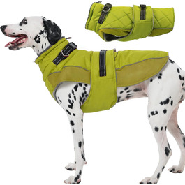 колір: грасґрун