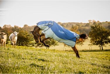 Кінська попона Horseware Rambo Autumn Series, демісезонна, водонепроникна, для вулиці