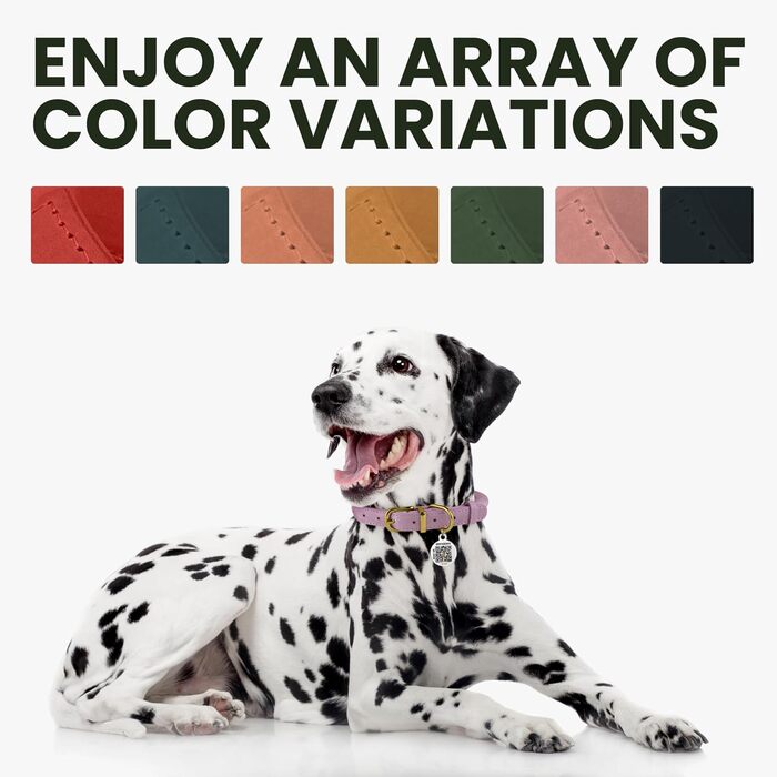 Нашийник для собак BRONZEDOG з шкіри, з QR-ID тегом, регульований, м'який, круглий, для собак маленьких, середніх та великих порід, цуценят та котів (40-48 см, 28-36 см)