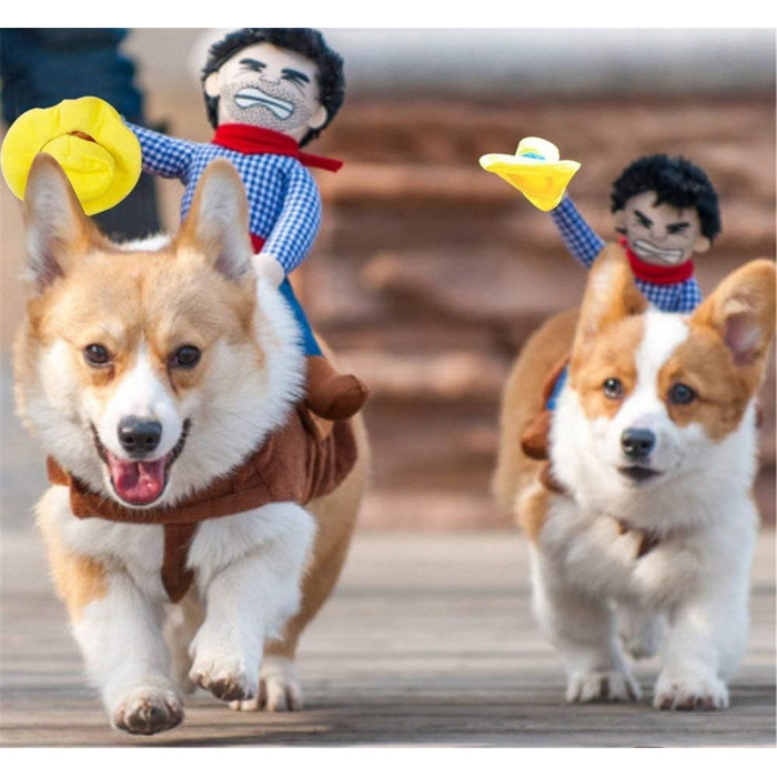 Костюм для собаки на Хелловін у стилі ковбоя: теплий, зручний, для домашніх тварин, розмір S