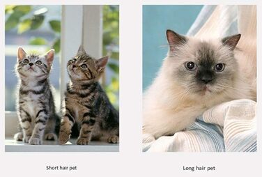 Преміум щітка для грумінгу собак, для малих та великих порід, видаляє шерсть, синій колір