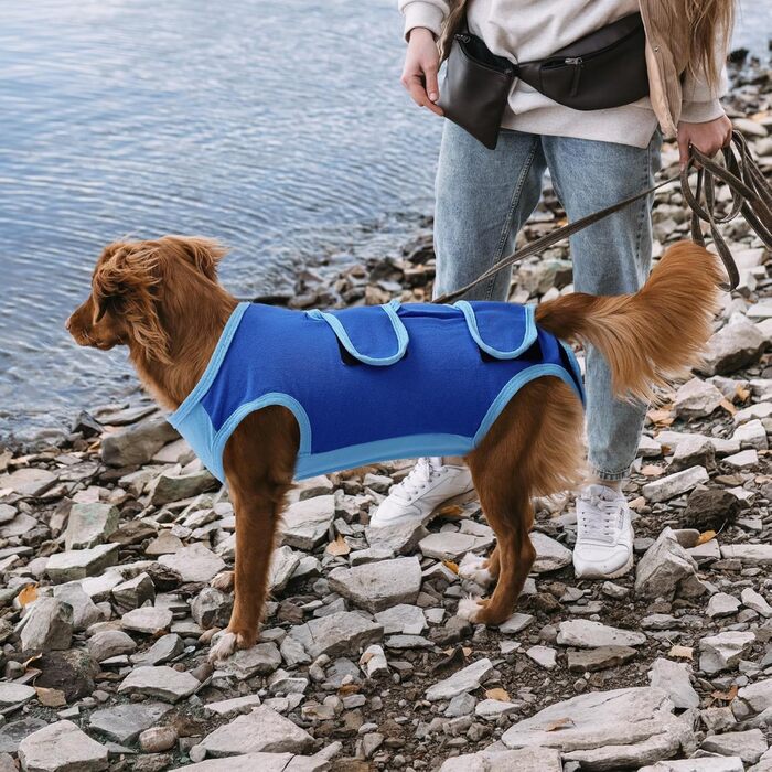 Комбінезон для собак після операції ASENKU: захист ран, анти-витік, альтернатива конусу (M, блакитний)