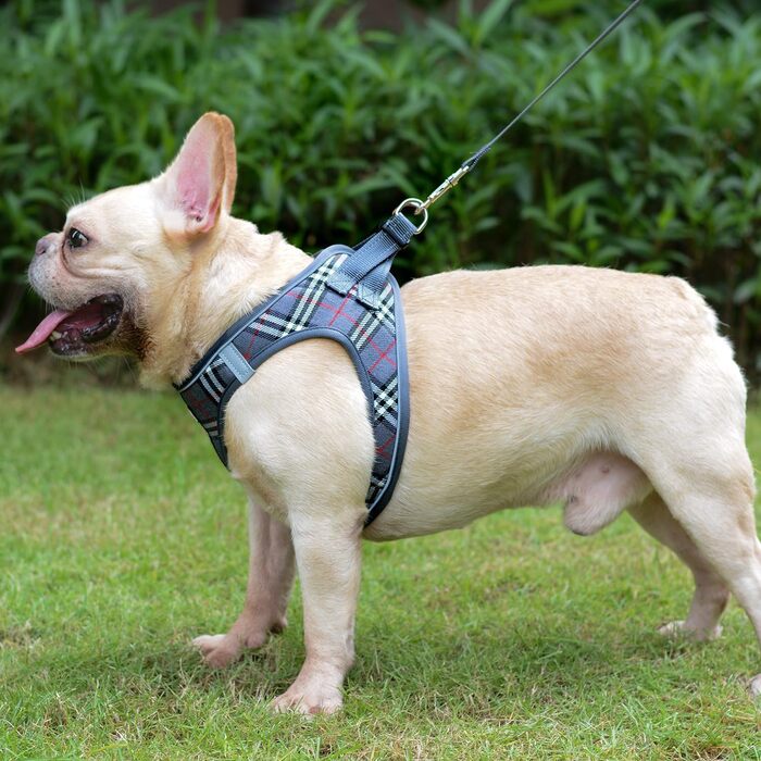 Нашийник для собак маленьких порід з повідком, анти-тягнучий, світловідбиваючий, дихаючий, нагрудник для цуценят (S, обхват грудей: 29-33см) (Сірий в клітинку, XL (обхват грудей: 46-53см, вага: 8-10.5кг))