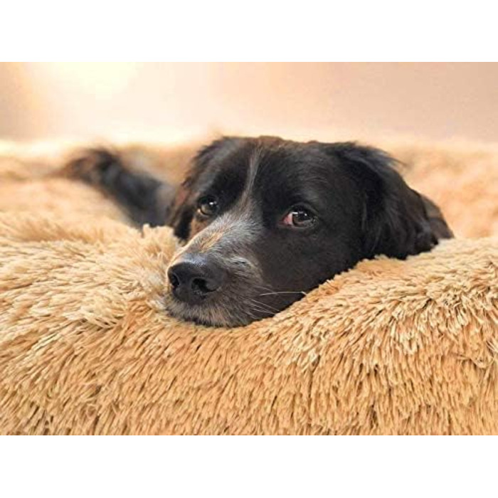 Кругле ліжко для домашніх тварин Segle Deluxe: м'яке, зручне, для собак та котів, 55x55x18 см