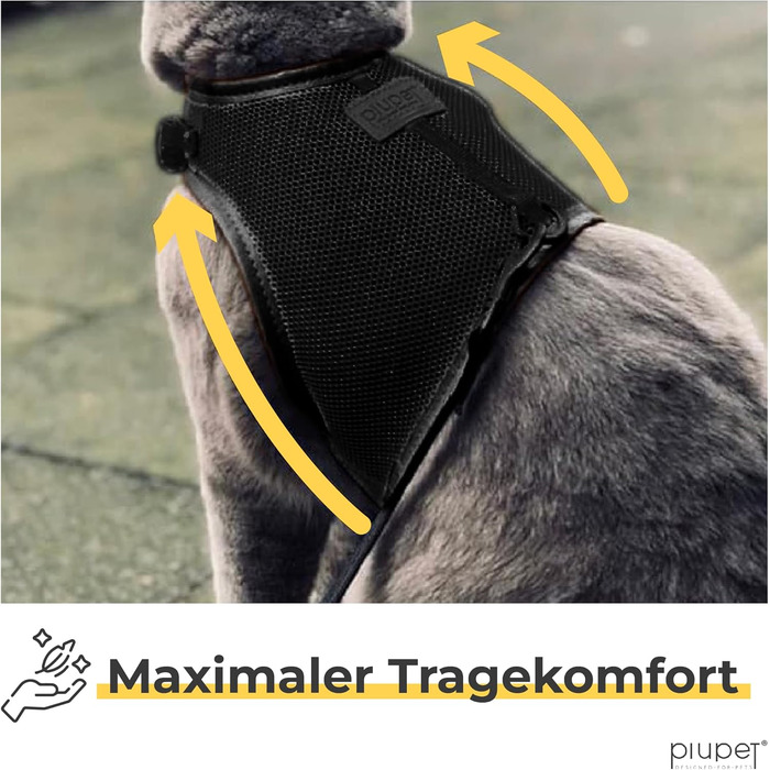 Шлейка для котів PiuPet® (S) з повідком 1,2м | Захист від втечі | Чорний колір | Розмір S (21-24см обхват шиї, 36-40см обхват грудей)