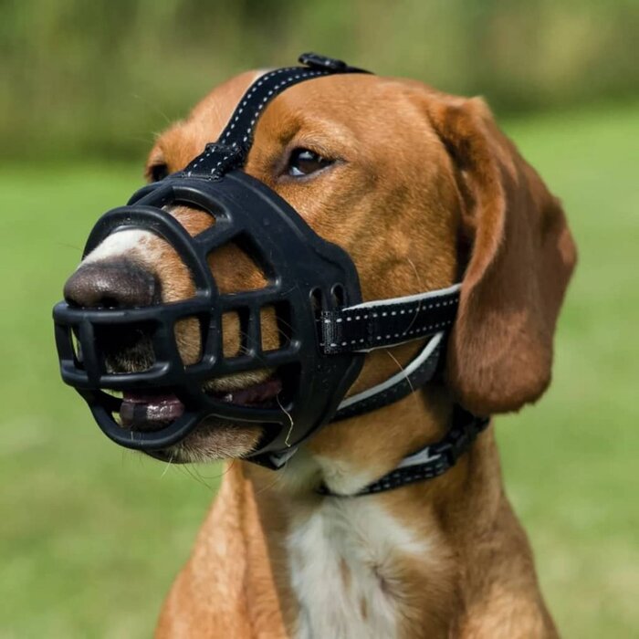 Еластичний намордник Trixie Muzzle Flex, розмір L (TX-17614)