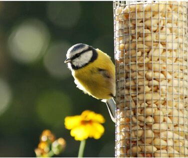 Годівниця для птахів Dobar® 10041 з нержавіючої сталі - годівниця для диких птахів, годівниця для горіхів з сіткою - сталева годівниця для саду/тераси/балкону, Ø 14 см x 26 см, срібна, 1 шт.